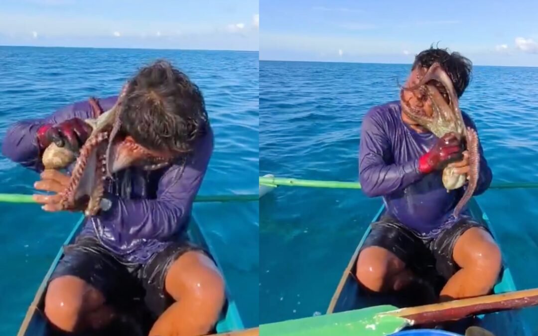 Octopus Latches Onto Filipino Fisherman’s Face In Viral Video (Watch)