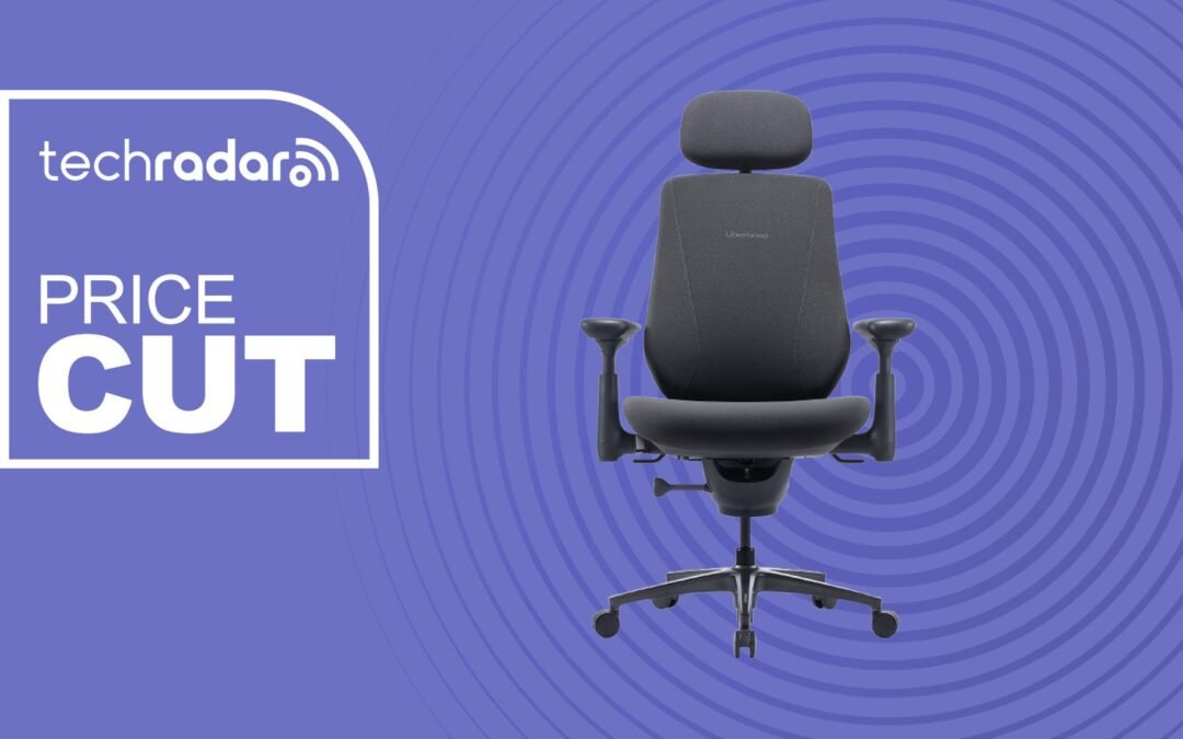 LiberNovo Maxis Manual deal: This 399lb big-and-tall office chair is built differently
